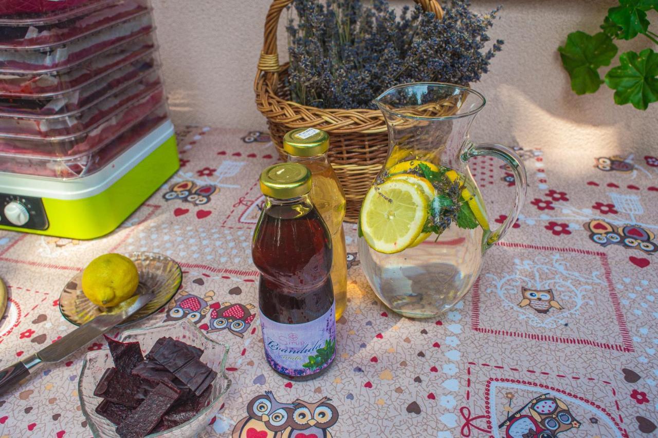 Bungalovy Natura Trávnica Dış mekan fotoğraf